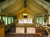 Xakanaxa Camp - Tent 